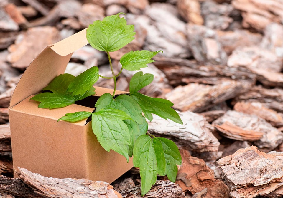 Empaque-caja-biodegradable-sostenible-reciclable-renovable-medio-ambiente-todocartonsk